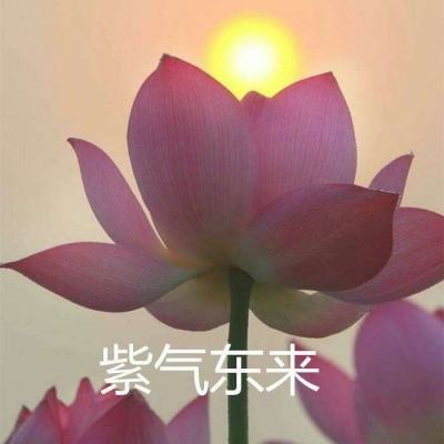 修仙之路手游下载
